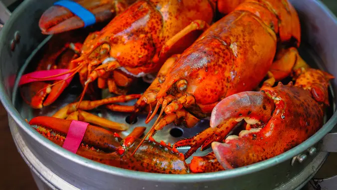Maine lobster