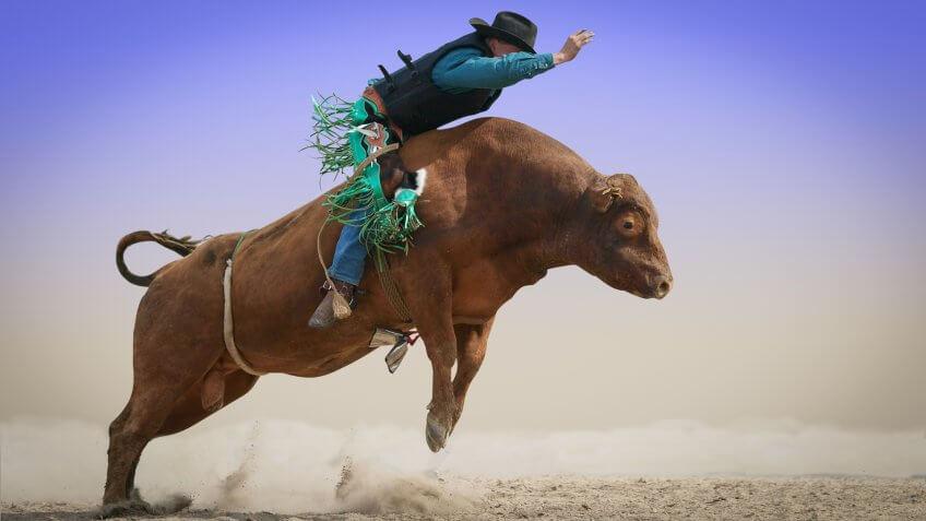 cowboy riding a bull