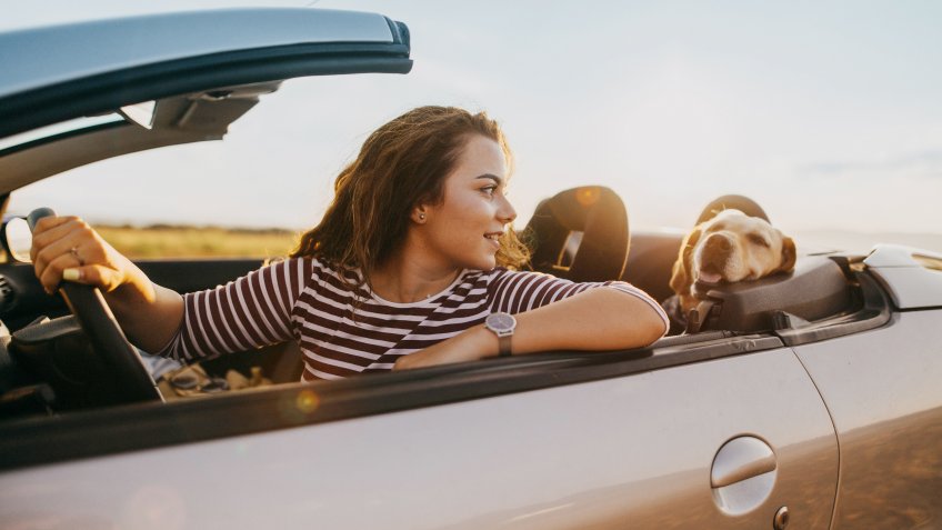 Photo of young woman traveling by car with her dog.