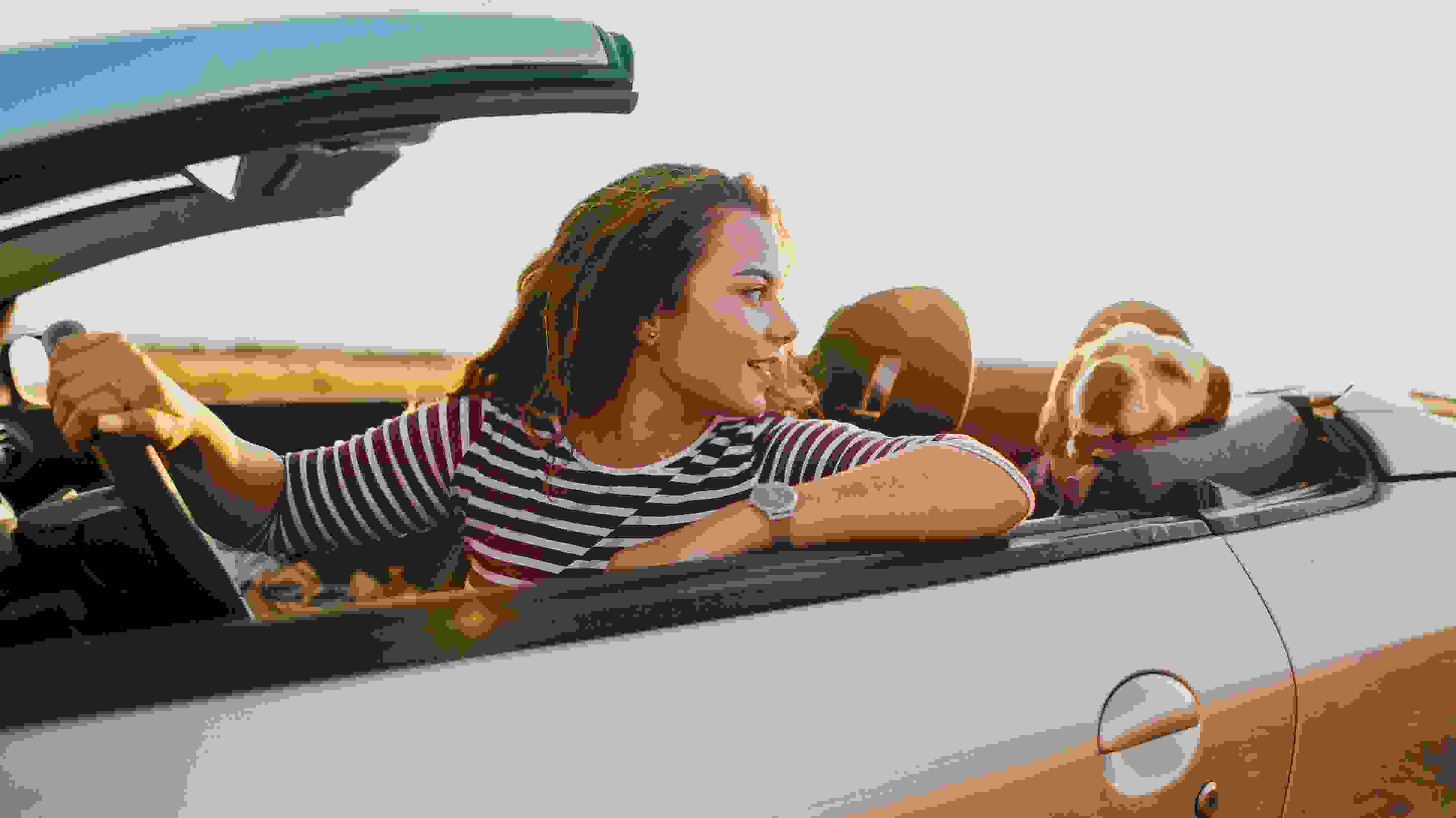 Photo of young woman traveling by car with her dog.