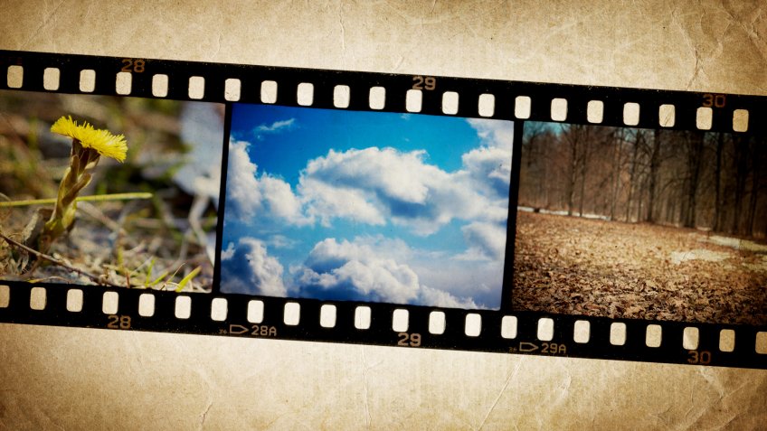 Nature photo with film strip on vintage background.
