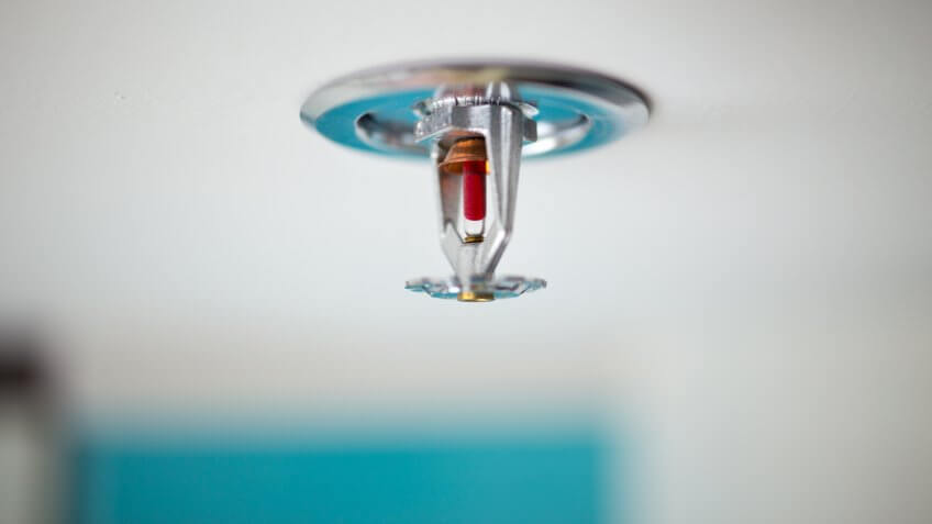 Sprinkler and smoke detector - Image.