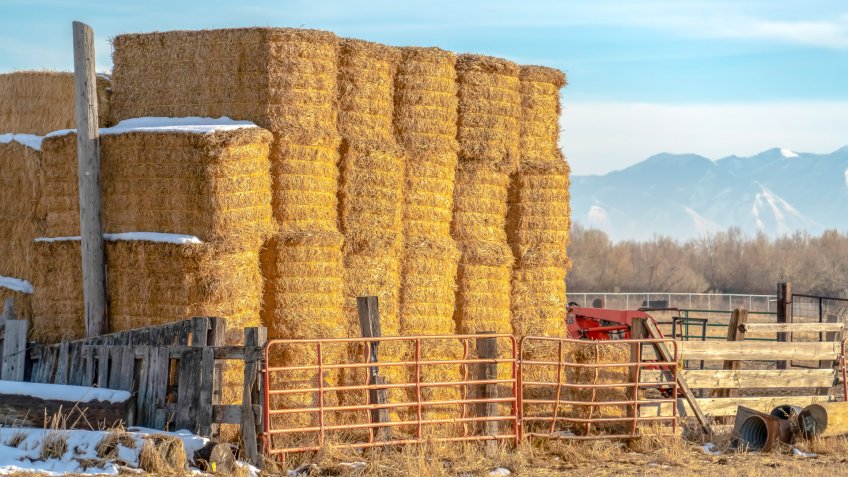 The No 1 Product In Each State Hit Hardest By The Trade War