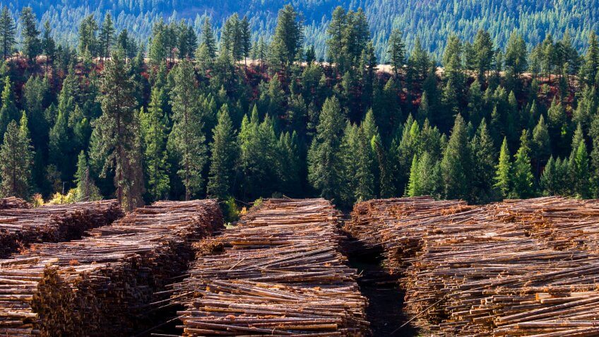 lumber yard in British Columbia Canada