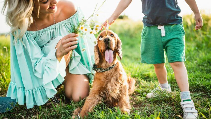 Young mother and son with dog.