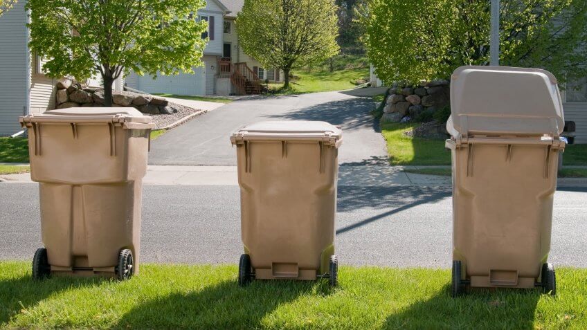 Trash bins lined up in a suburban sub division, waiting for the garbage truck.