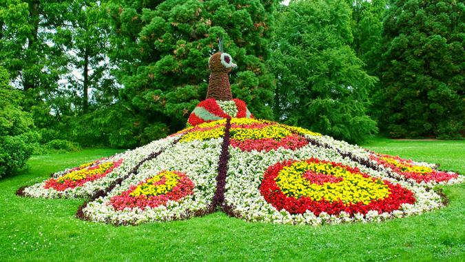 weird landscape design