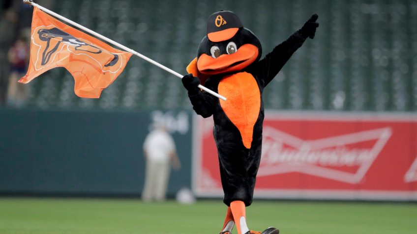 Baltimore Orioles Bird mascot