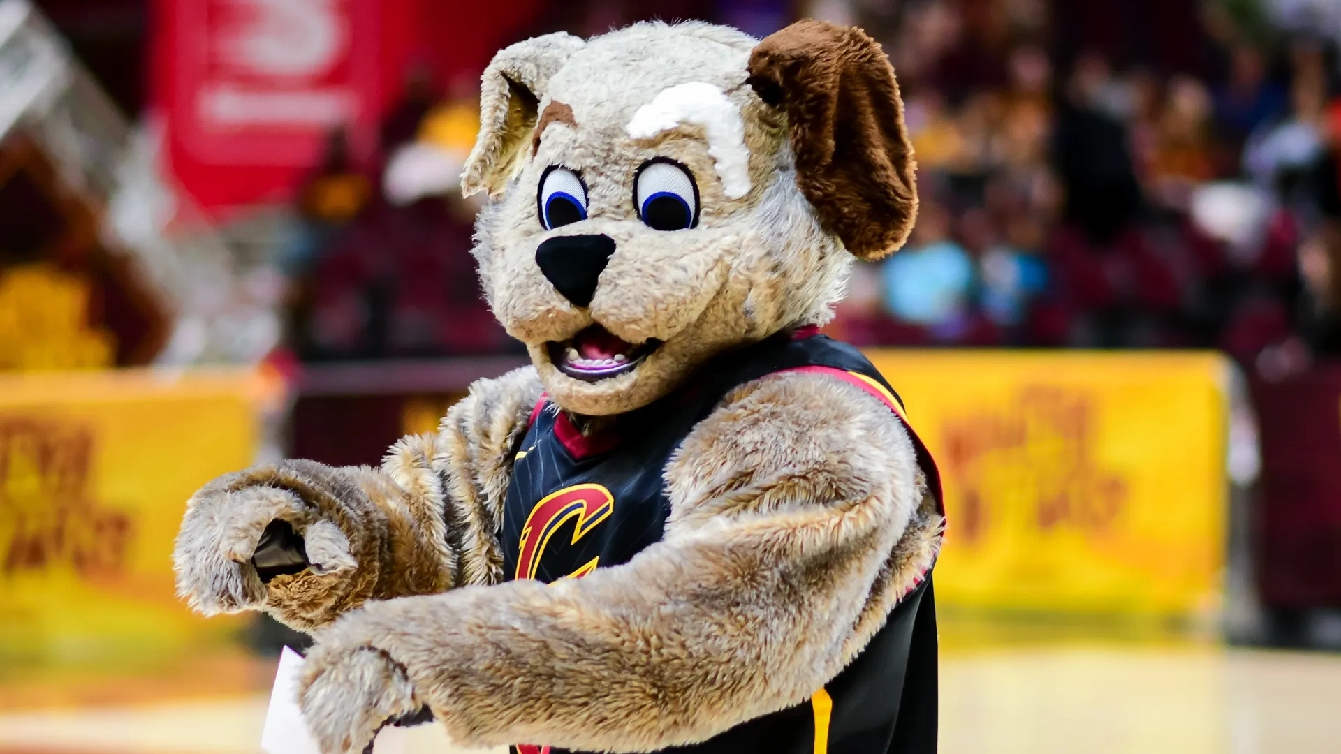 Which Mascots Make More Money Than You? | GOBankingRates