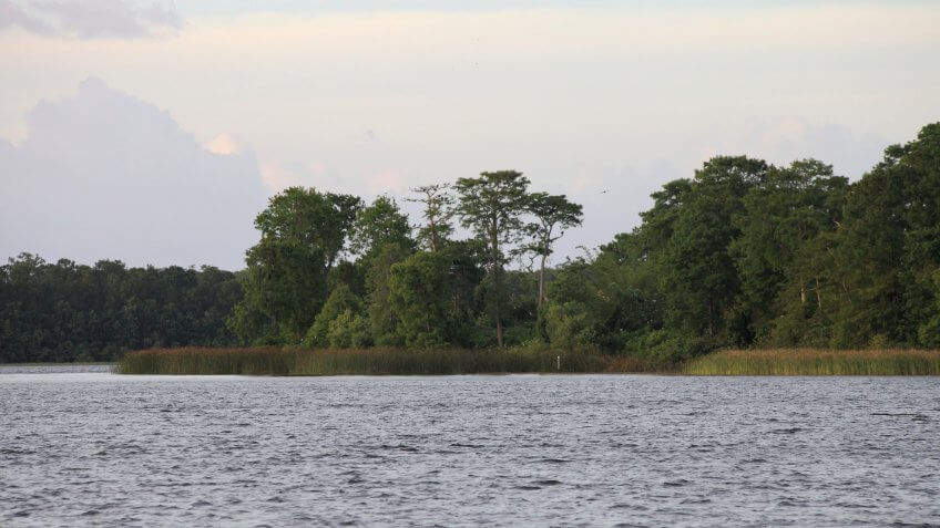 Discovery Island at Disney World Orlando