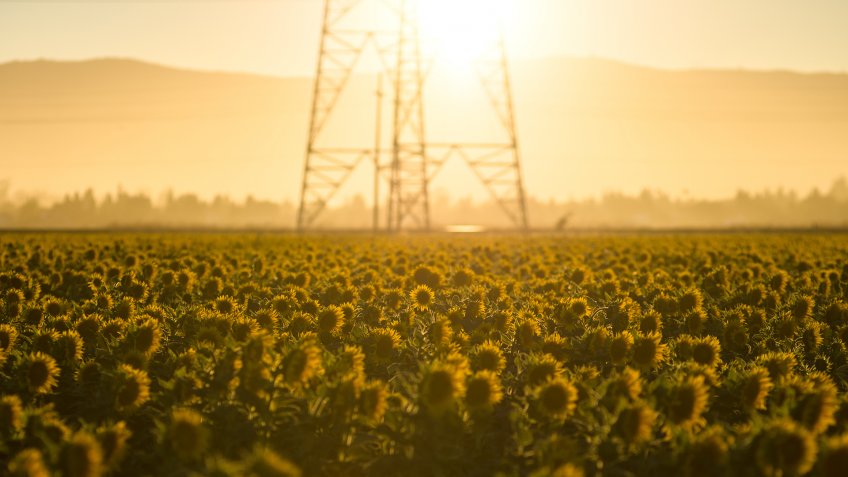 Sunset at Fairfield - Image.