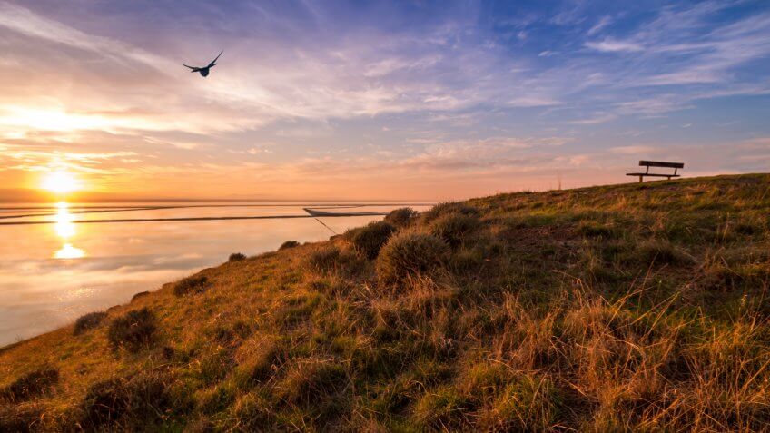 Amazing sunset at Coyote hills, Fremont, California - Image.