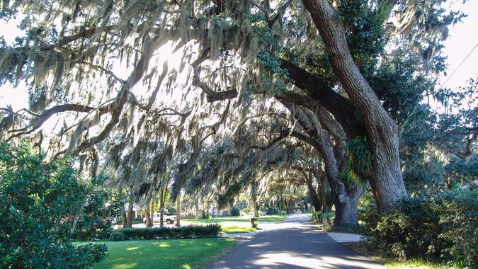 Lady Lake Blvd, Lady Lake Fla.