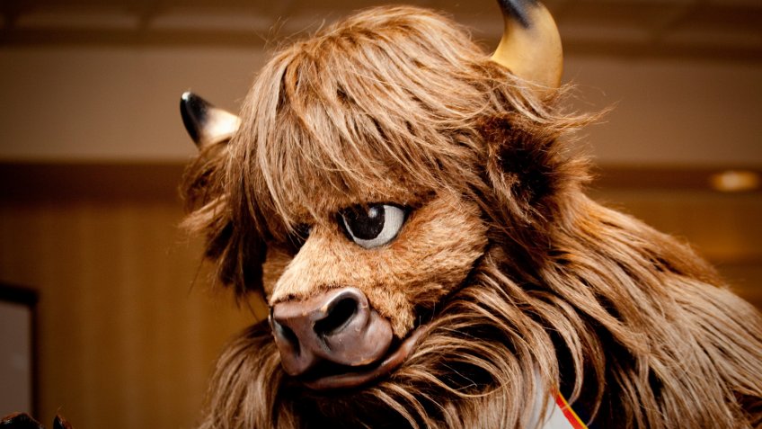 Oklahoma City Thunder mascot Rumble the Bison
