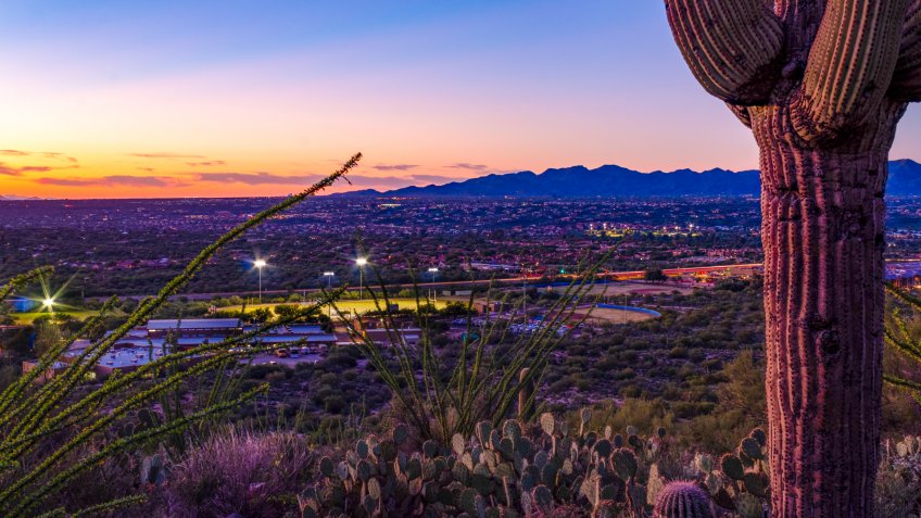 A sentinel of the desert a saguaro cactus, prickly pear cacti and ocotillo watch over a beautiful sunset in Oro Valley, Arizona, while a high school football game plays in the evening light.