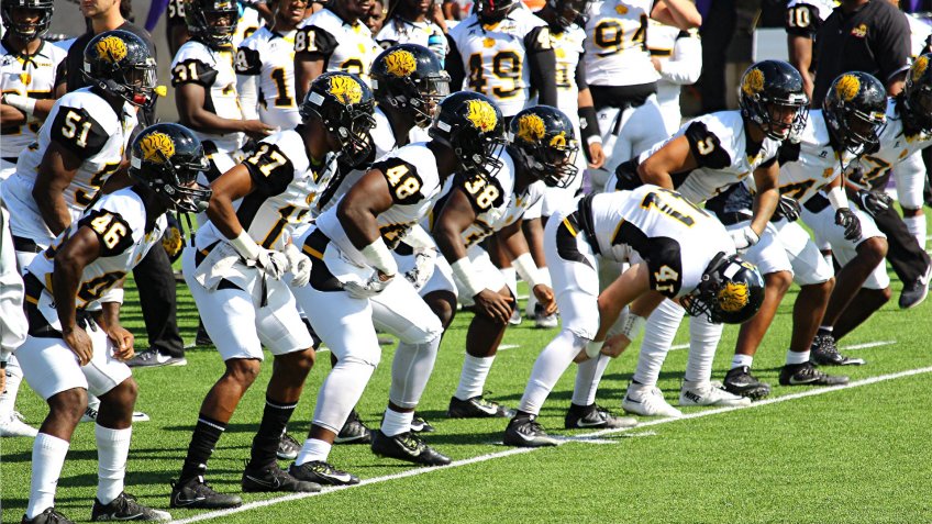 University of Arkansas Pine Bluff football team