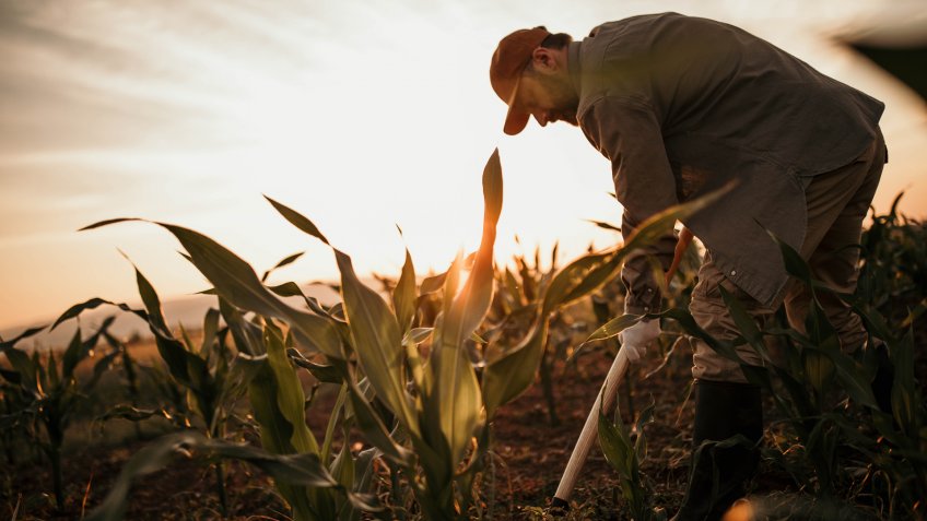 Photo of farmer with shovel on his filed.