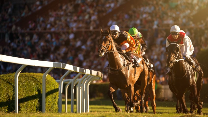 horse racing on track