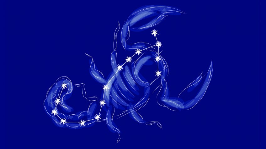 scorpion.
