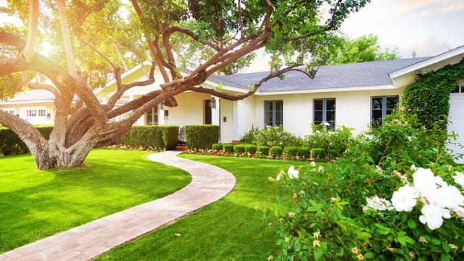 Beautiful white color single family home in Phoenix, Arizona USA with big green grass yard, large tree and roses.