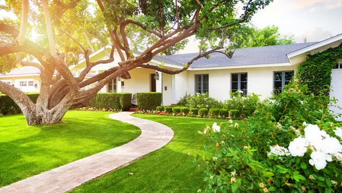 Beautiful white color single family home in Phoenix, Arizona USA with big green grass yard, large tree and roses.