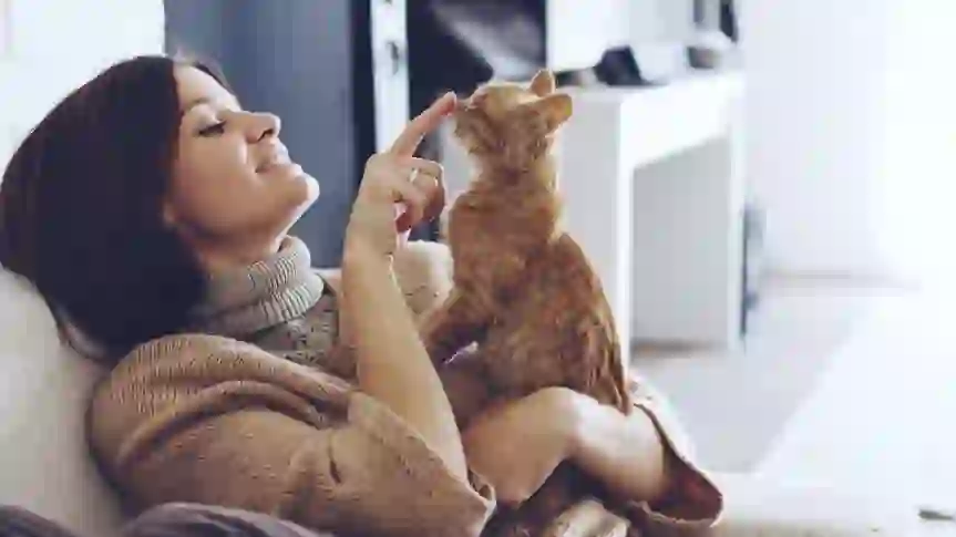 10 Best Gifts for Pet Lovers Under $15 on Amazon
