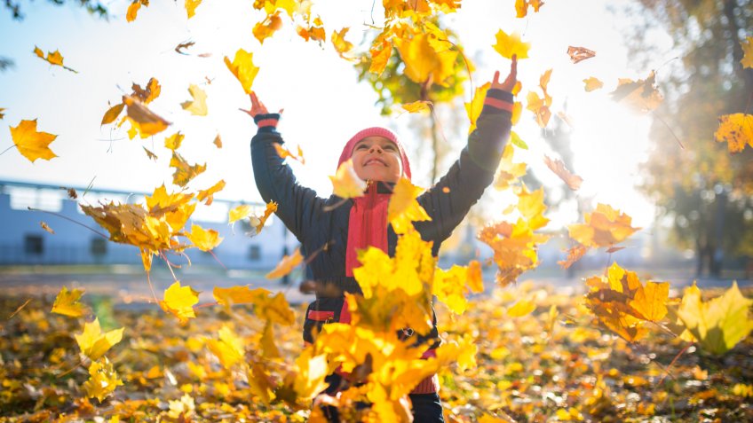 38 Best Bank Account Promotions: September 2019 38 Best Bank Account Promotions: September 2019