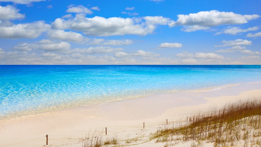 Destin beach in florida ar Henderson State Park USA - Image.