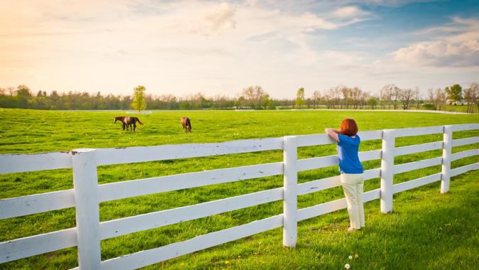 Woman enjoying countryside view with green pastures and horses at evening golden hour.