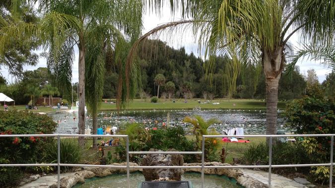 Warm Water Spring Park in North Port, FL in December 2014. View from the entrance.