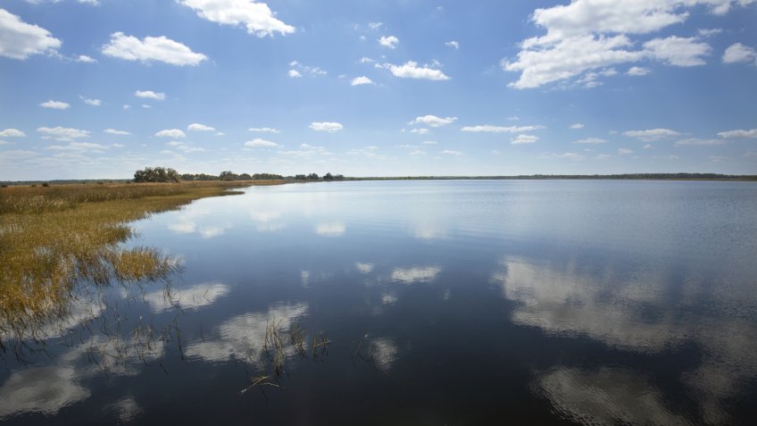 Lake Tohopekaliga at Twin Oaks Conservation Area in St.