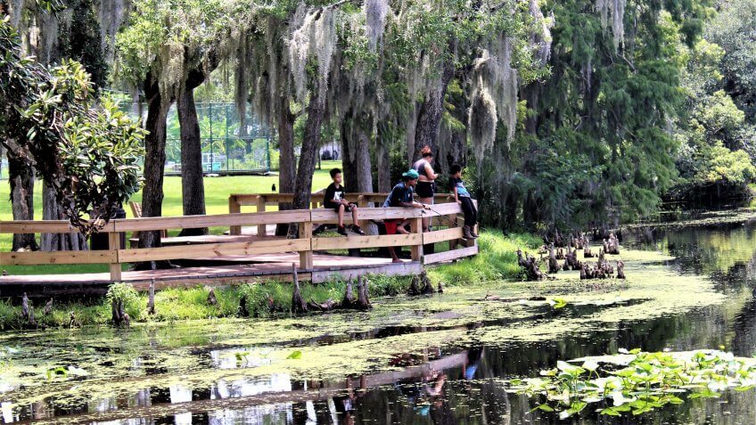 Temple Terrace,Florida/US-July 18, 2019: Beautiful park which includes serene landscape, boardwalk, cypress trees, river, and Spanish history plaque, - Image.