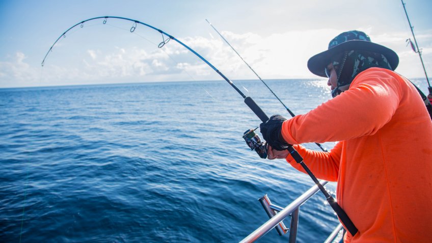 Sea Fishing With Spinning - Image.