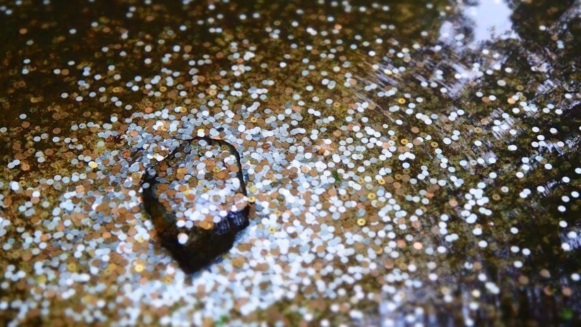 wishing well full of coins