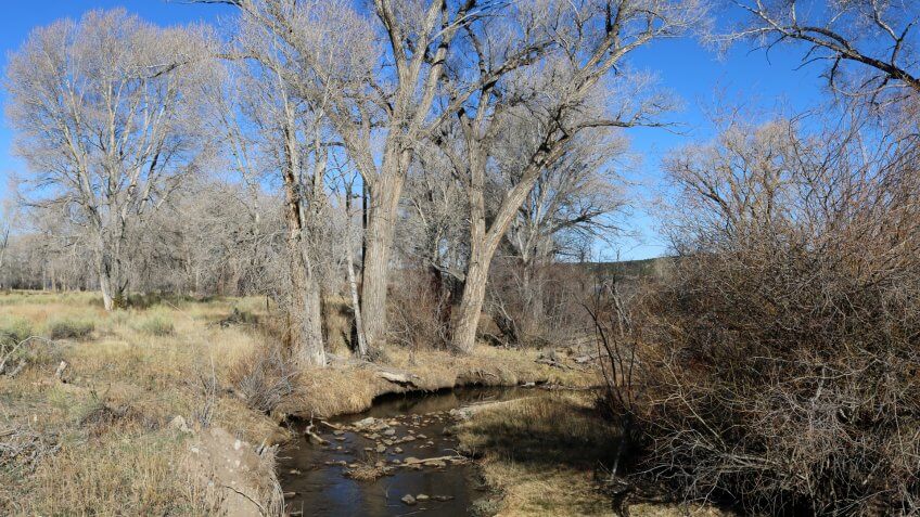 Trinchera Creek, Costilla County, Colorado
