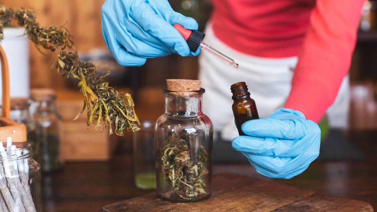 Adult Preparing Homeopathic Medicine From Cannabis Buds.
