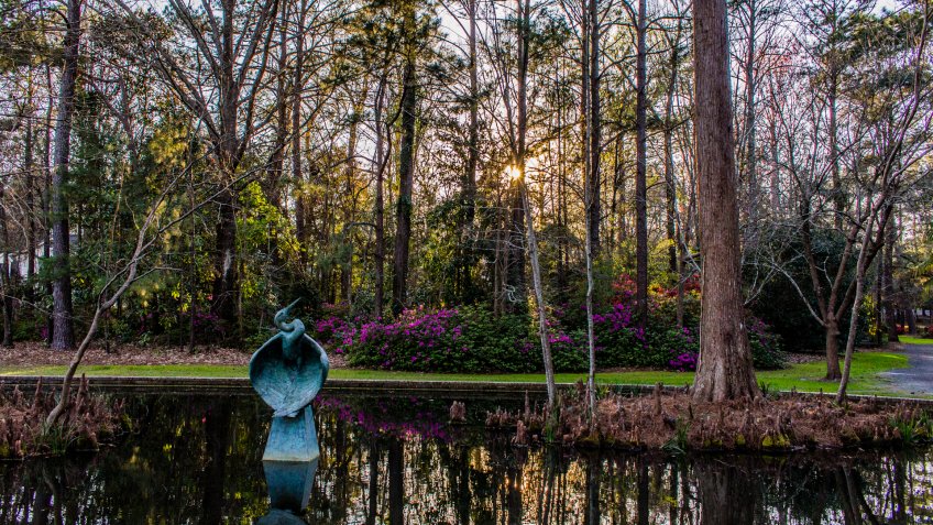 Azalea Park Summerville South Carolina.