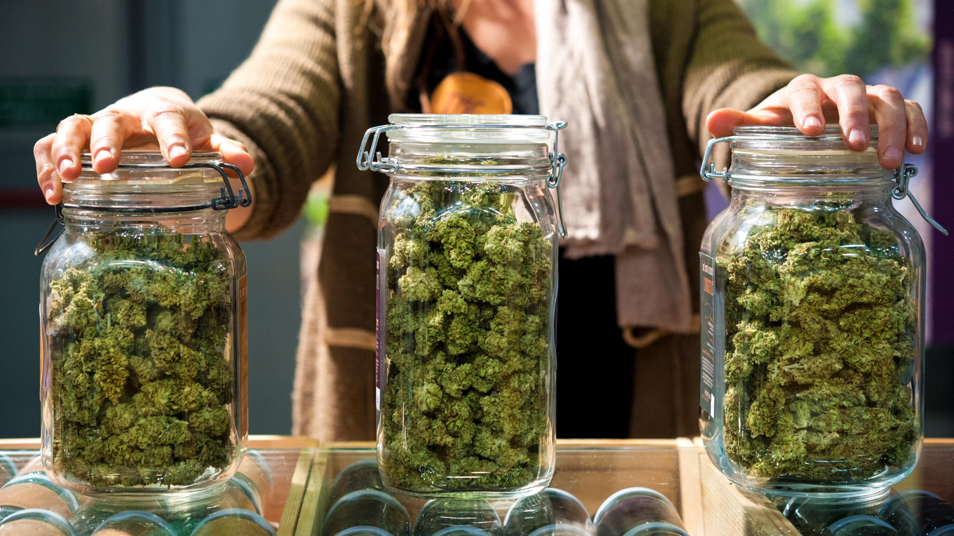 https://cdn.gobankingrates.com/wp-content/uploads/2019/11/Glass-jars-full-of-Cannabis-Sativa-iStock-1126458311.jpg