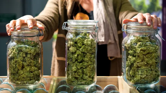 Glass jar full of Cannabis Sativa for sale at a market stall.
