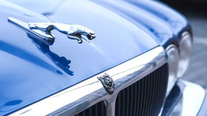 De Haan, Belgium - February 27, 2011 :Close-up of a leaping cat hood ornament on a blue Jaguar car.
