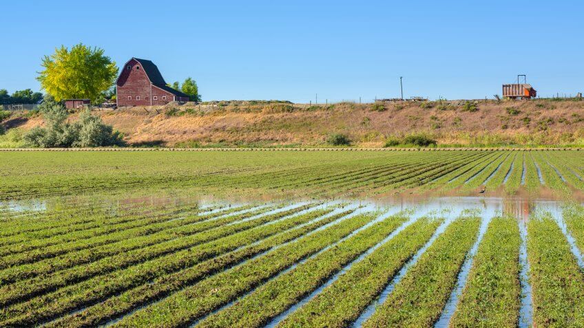 Farm with crops and a red barn.