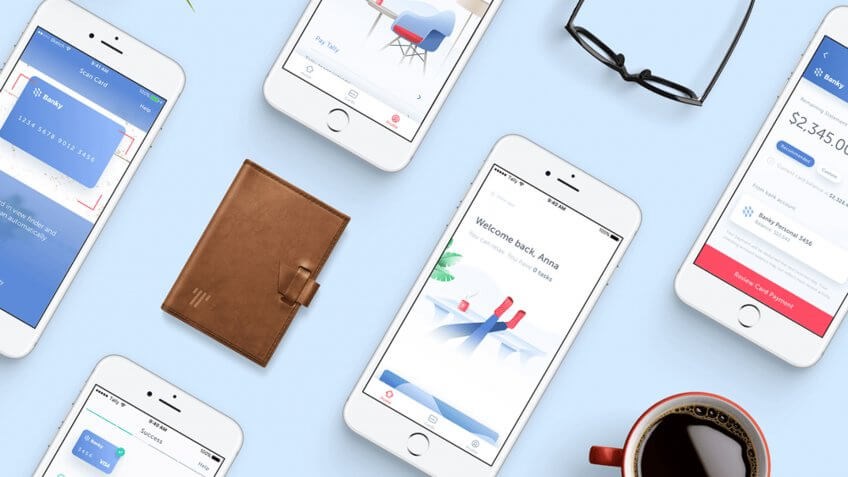Tally financial debt management app