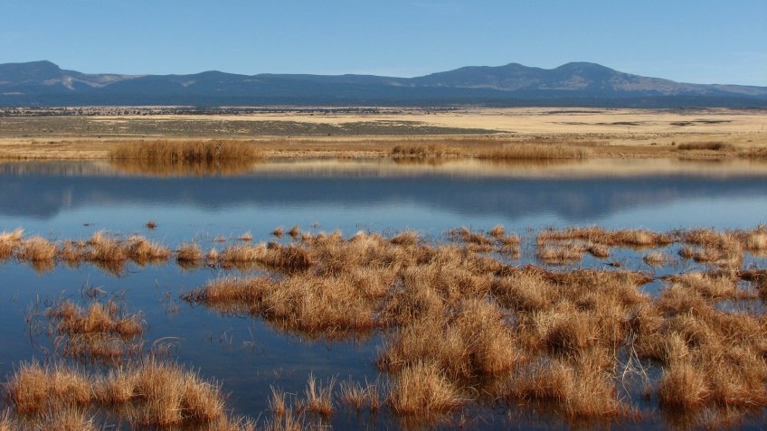"A large, flooded pond reflecting a mountain range.