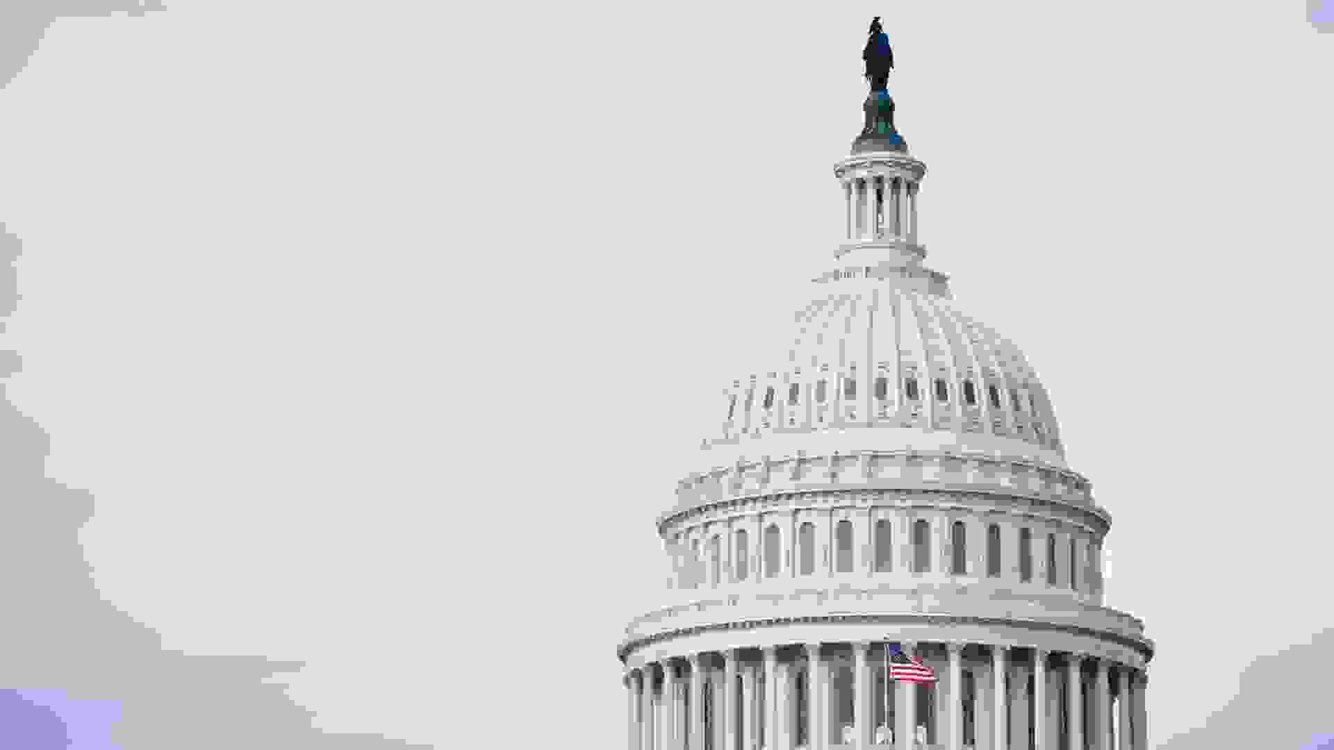 "The United States Capitol in Washington DC, USA.