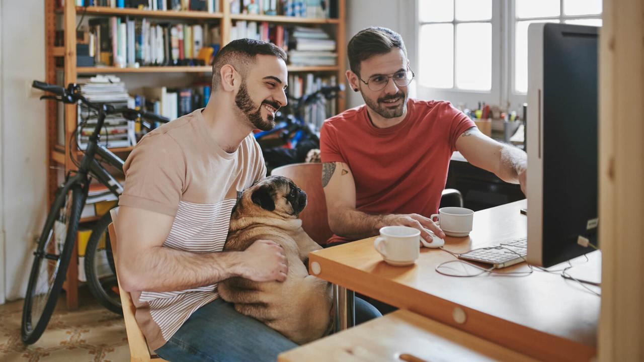 Smiling gay couple with pug looking at computer monitor at desk.