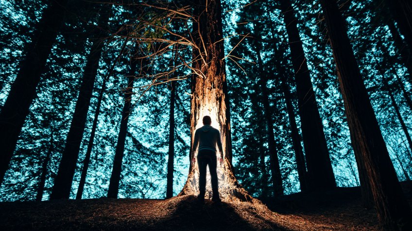 scary forest with man at night