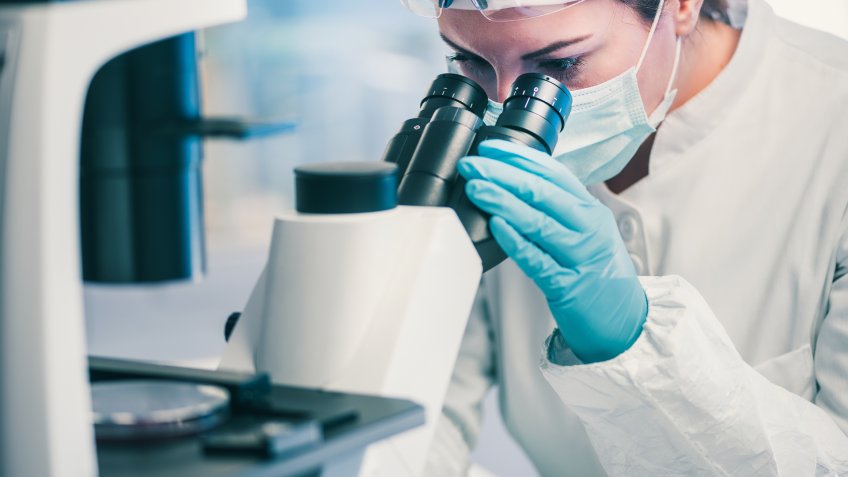 Microbiology, laboratory technician observing bacteria strains through the microscope.