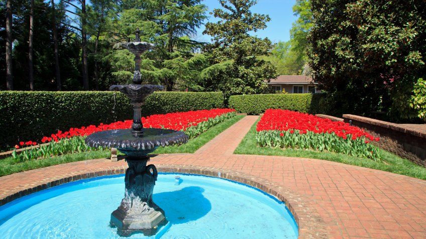 Red tulips in bloom and a water fountain in this garden in North Carolina.