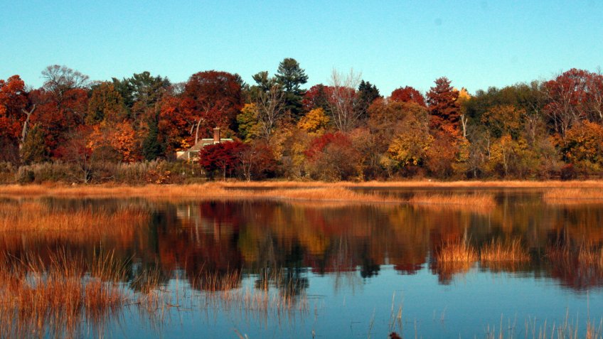 Welwyn Preserve County Park.