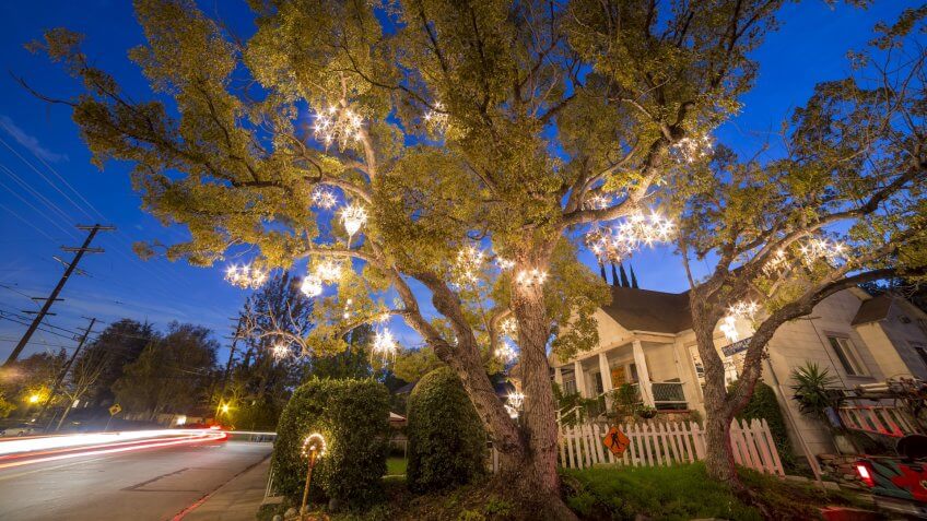 DEC 19, Los Angeles: The famous Chandelier Tree on DEC 19, 2014 at Silver Lake, Los Angeles.